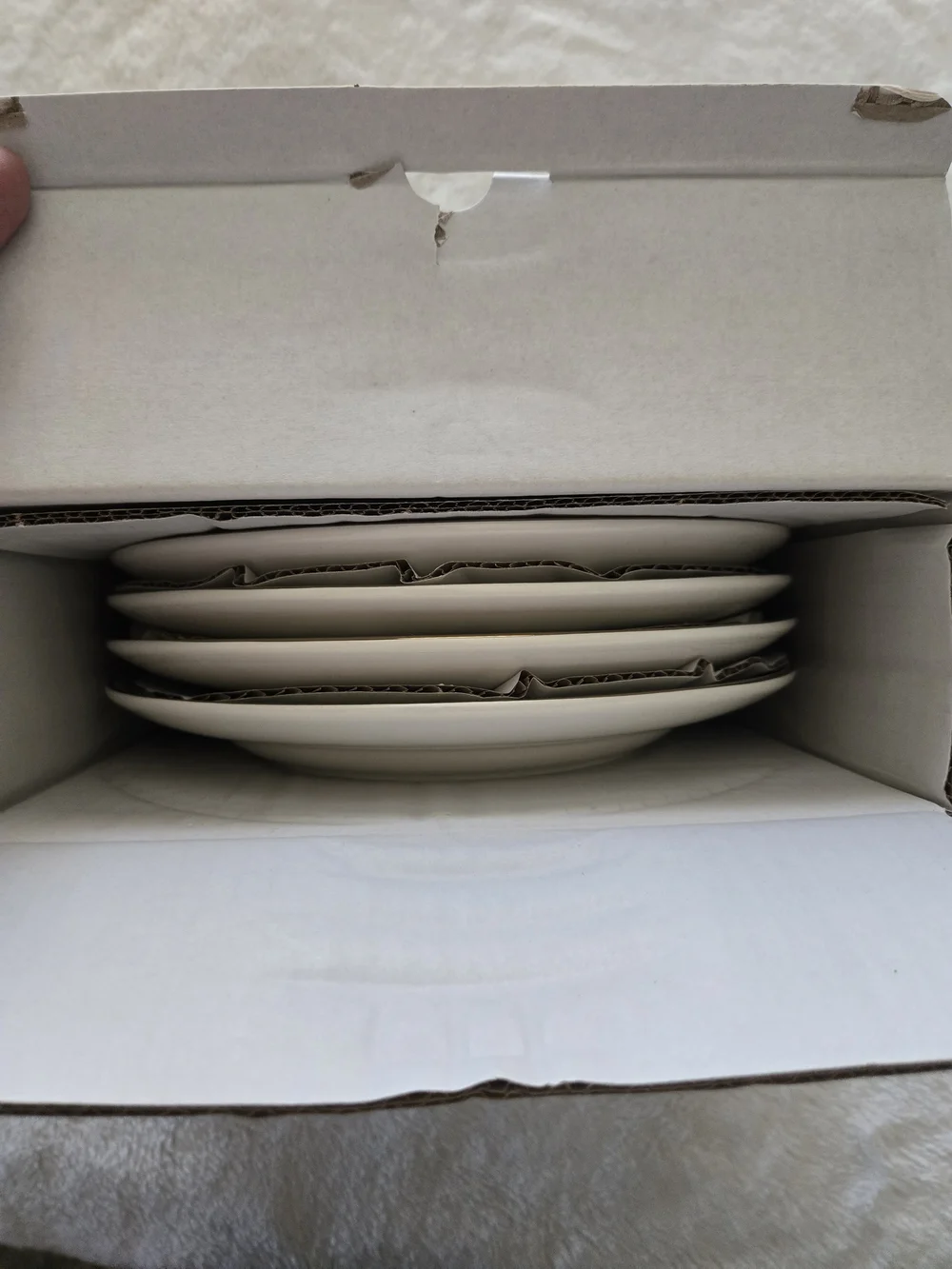 Pottery Barn - Botanical Harvest Salad Plate Set - NEW! - Picture 5 of 6